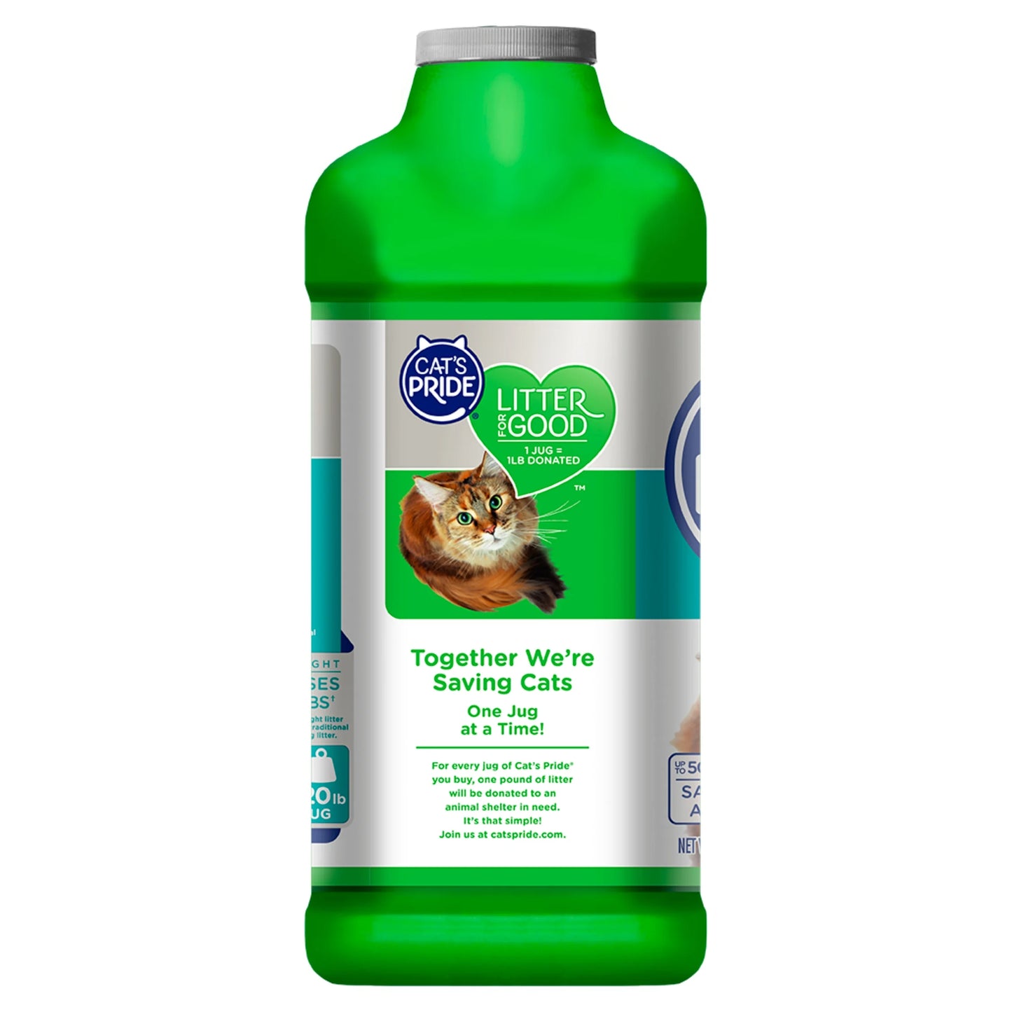 (2 Pack) Complete Care Unscented Multi-Cat Clumping Clay Cat Litter, 10 Lb Jug