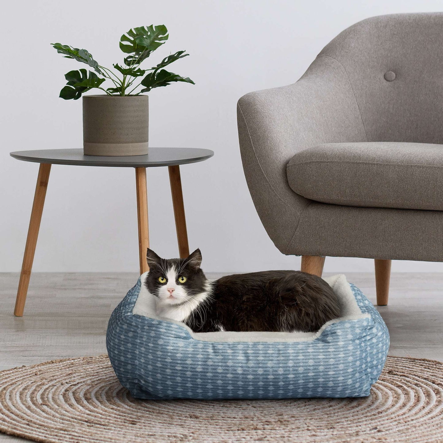 (3 Pack) Bed for Dogs & Cats, Plush Cuddler, Portable, Machine Washable, Blue & White, 19" × 15"
