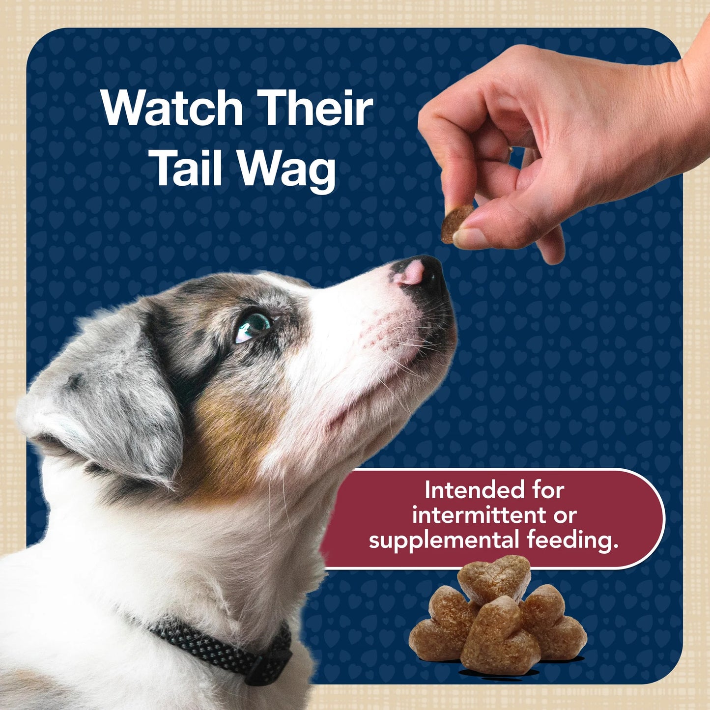 Bits Soft Dog Treats for Training, Enhanced with DHA, 11-Oz. Bag