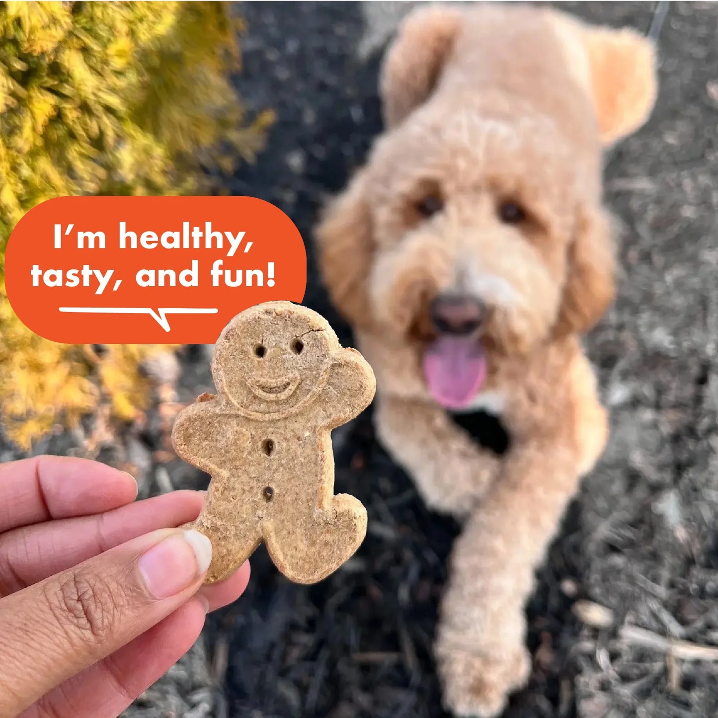 (2 Pack) Crunchy Dog Treats, Peanut Butter, 16 Oz. Box