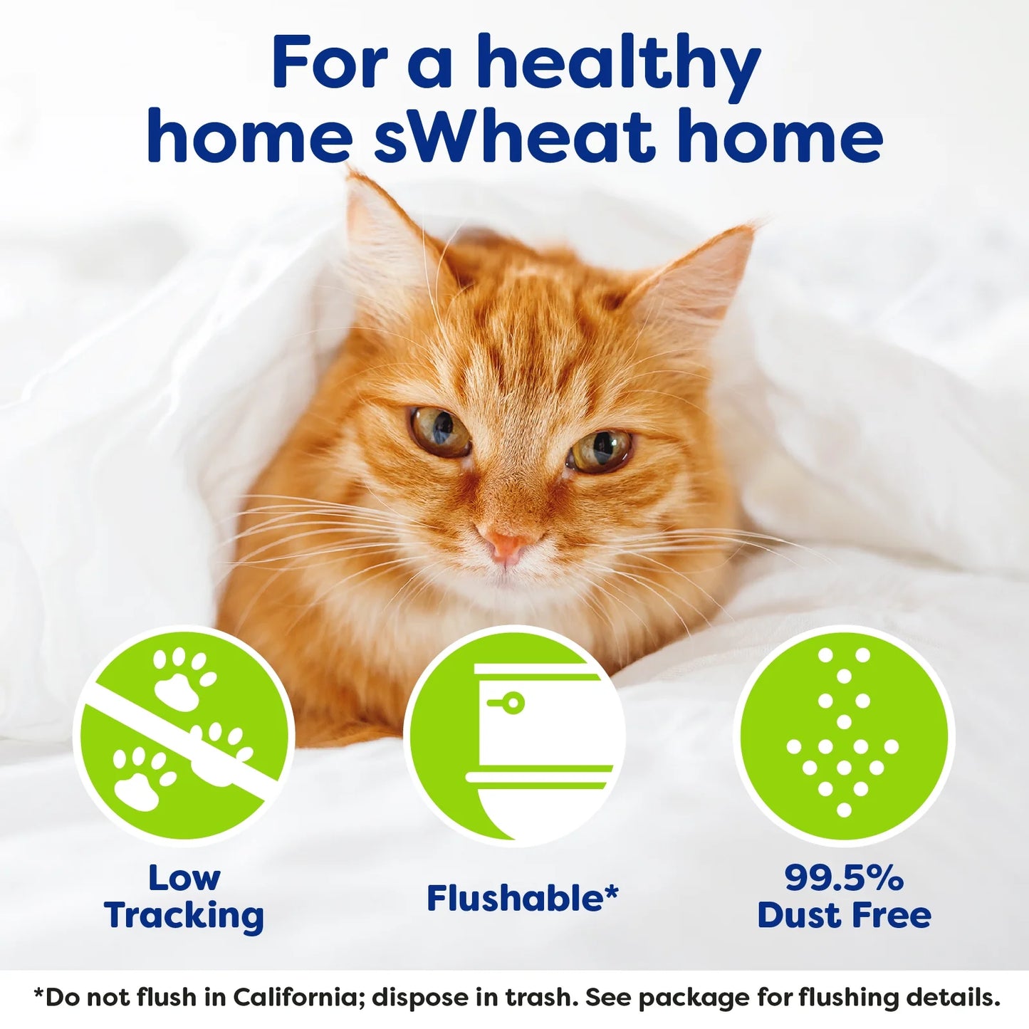 (3 Pack) Multi-Cat Natural Clumping Wheat Cat Litter, 15Lb