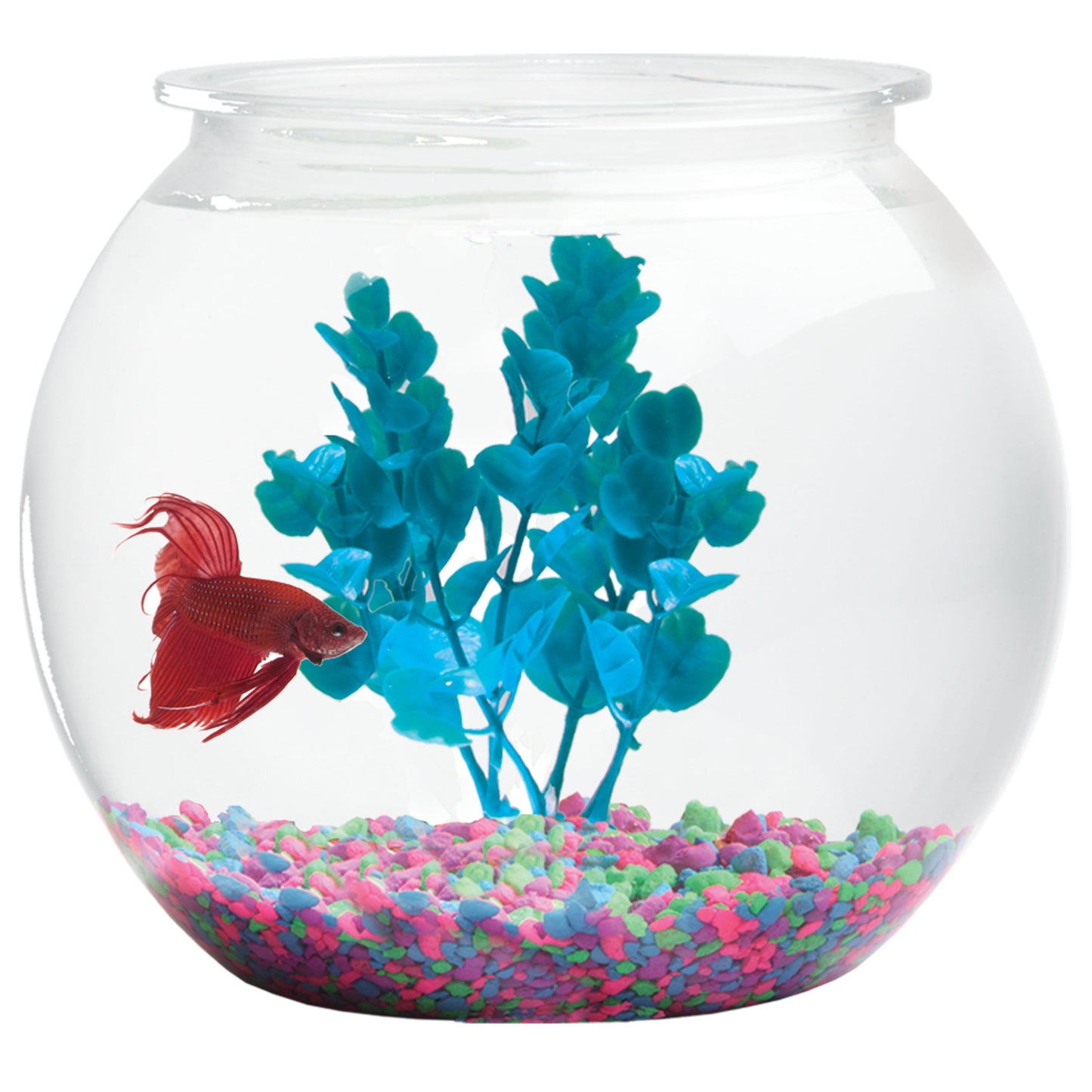 Aquarium Gravel, Rainbow, 2 Lb