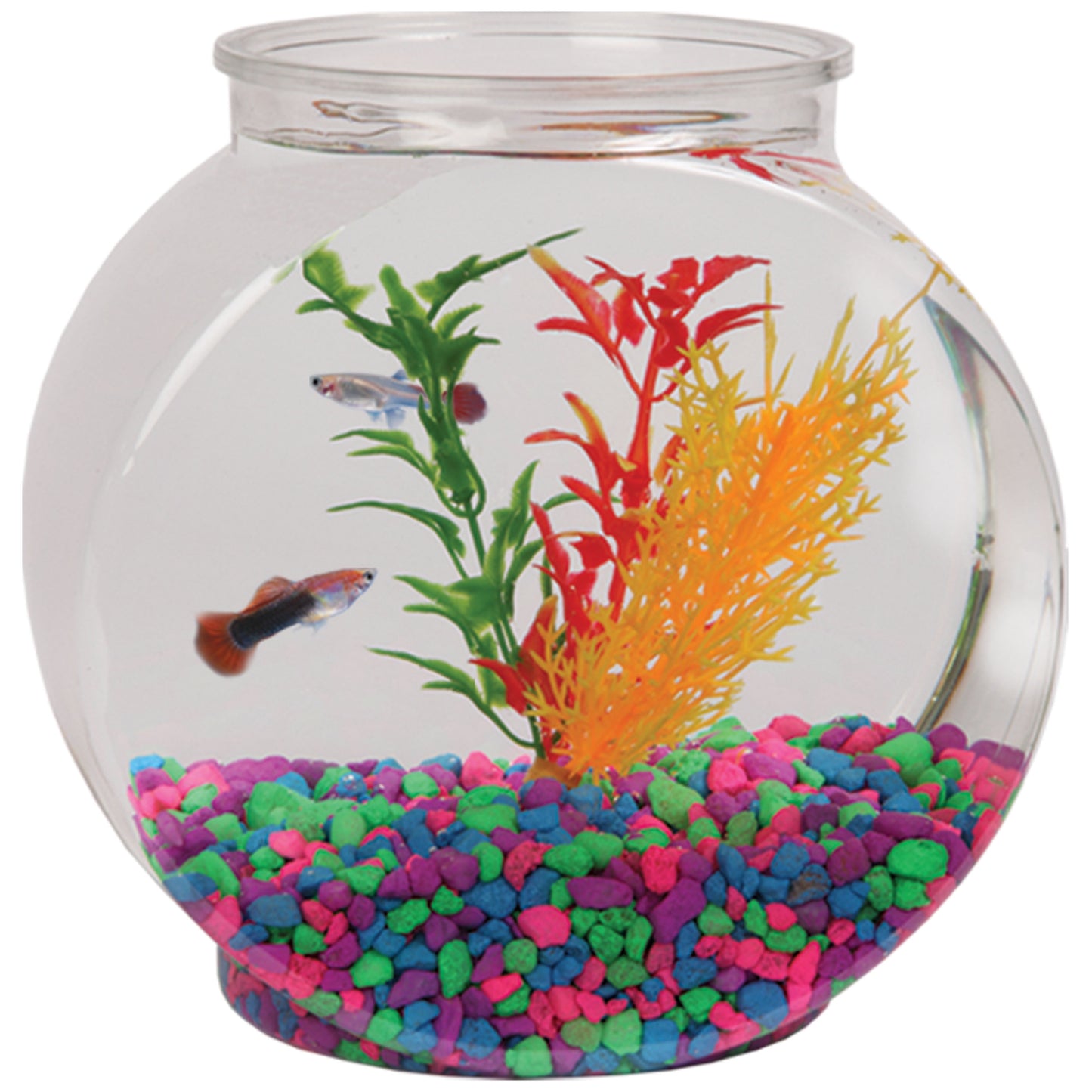 Aquarium Gravel, Rainbow, 2 Lb