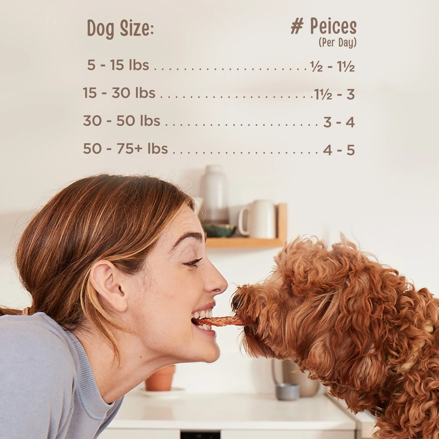 Natural Essentials Beef Sticks Dog Treats, 22Oz