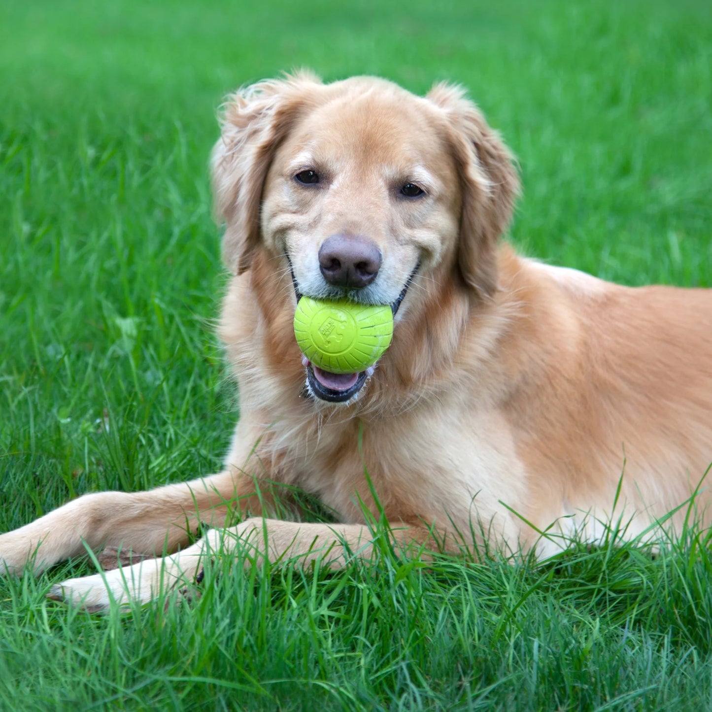 , 3 Inch Supreme Rubber Dog Balls (4-Pack) for Large Breeds