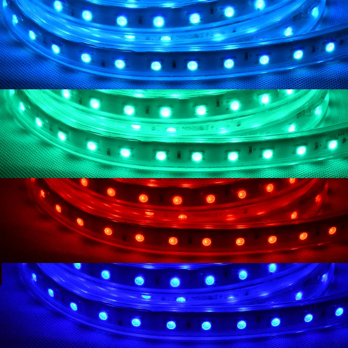 120 Volts Multicolor LED Strip Lights with Remote Control for RV Vehicle