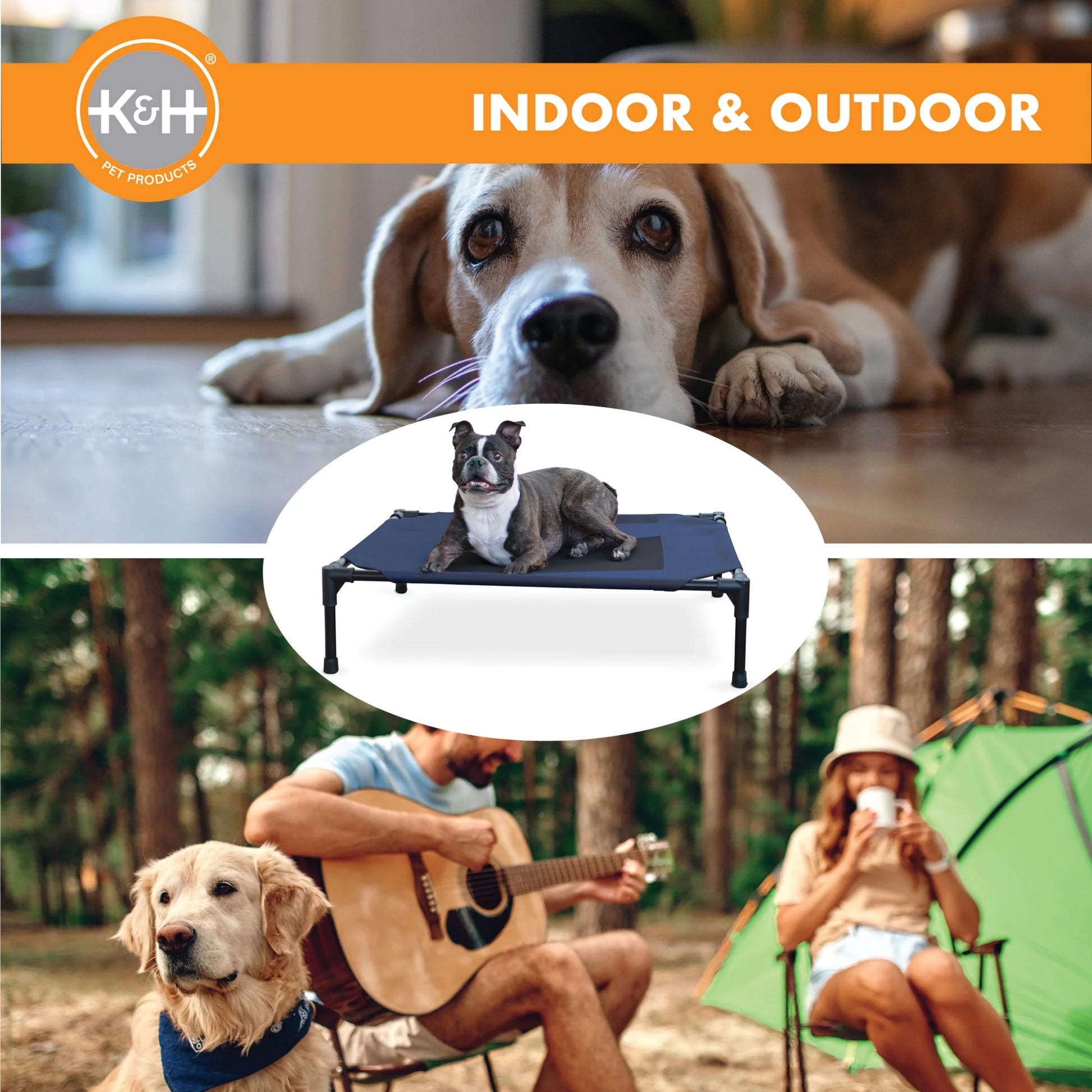 Original Pet Cot Elevated Dog Bed Blue/Black Mesh Medium 32 X 25 X 7 Inches