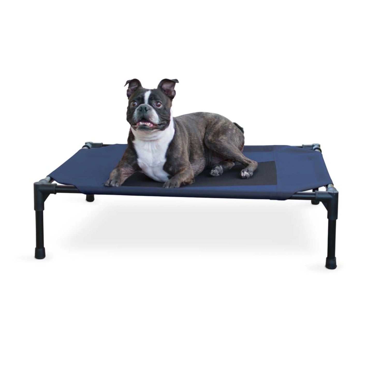 Original Pet Cot Elevated Dog Bed Blue/Black Mesh Medium 32 X 25 X 7 Inches