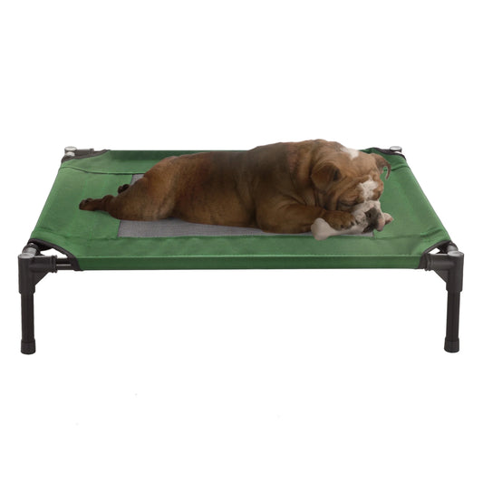 Raised Cot-Style Pet Bed - Green, 30" X 24"