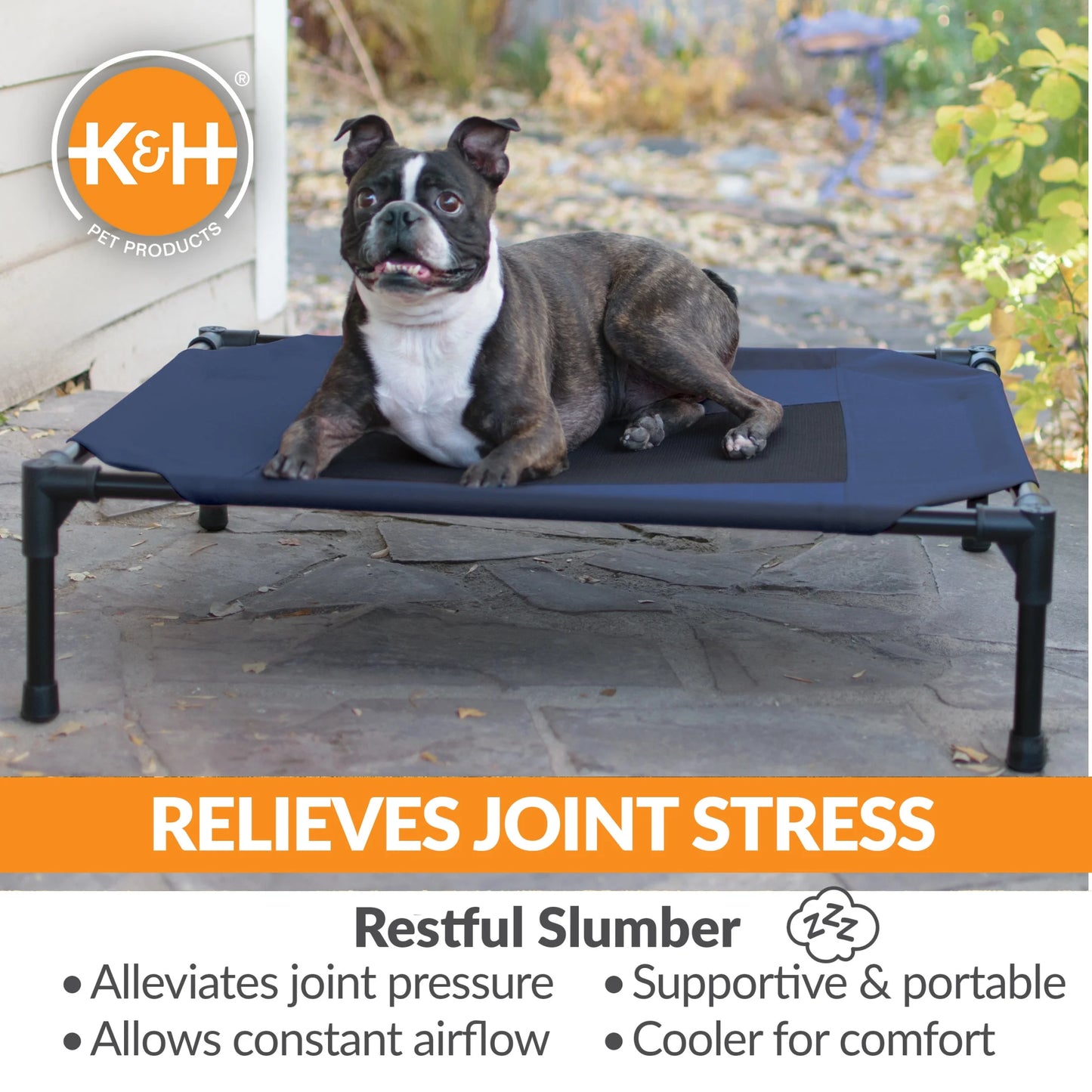 Original Pet Cot Elevated Dog Bed Blue/Black Mesh Medium 32 X 25 X 7 Inches