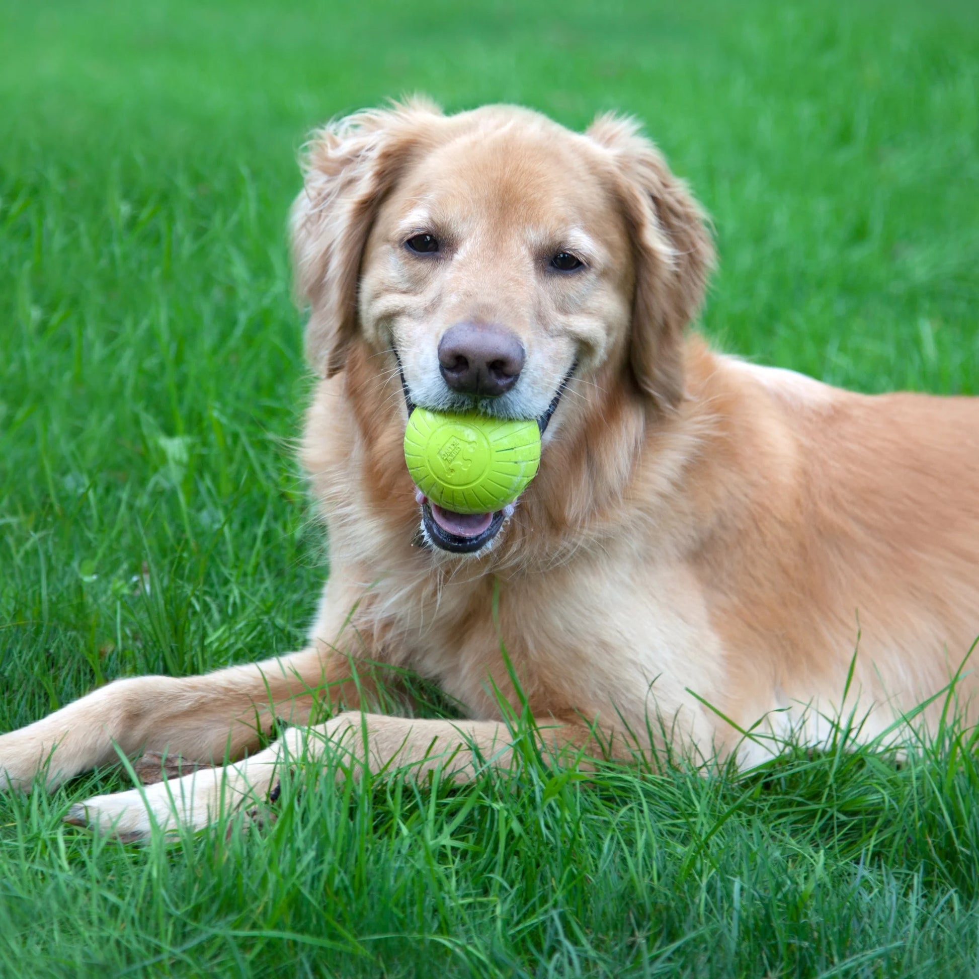 , 3 Inch Supreme Rubber Dog Balls (4-Pack) for Large Breeds