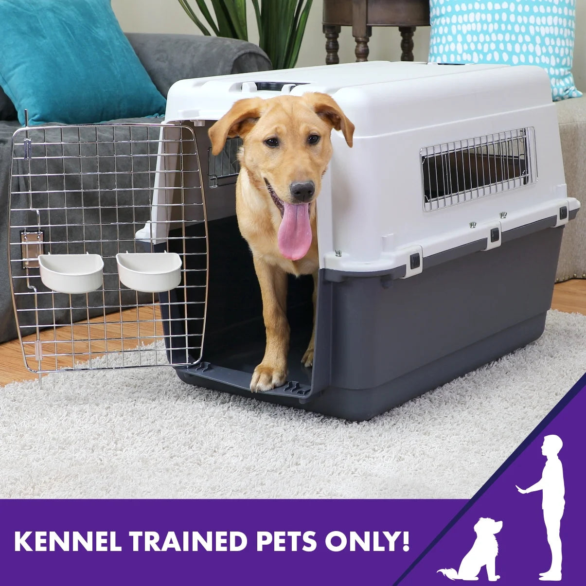 Plastic Kennel for Dogs & Cats, Wire Door, IATA Airline Approved, Travel Crate, with Wheels, Gray, Medium, 27" L X 20" W X 19" H
